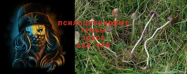 гашик Абдулино