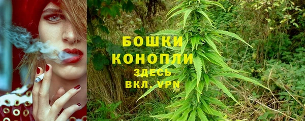 бошки Апатиты