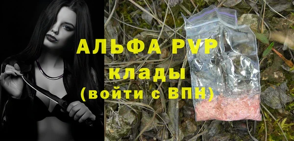 spice Абаза